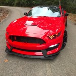 Serpent Stang