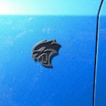 HeckCat