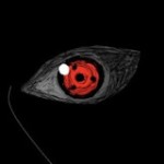 shinobi gami
