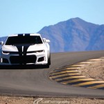 WhiteZL1