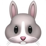 시계토끼 White Rabbit