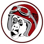 The Demented Monkeys