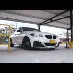 IgnA5M240