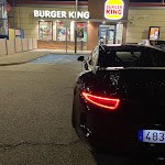 Tigre 991 GT3