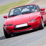 Belgian Petrolhead