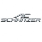 acschnitzer1987