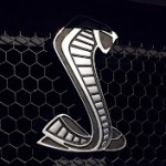 TheRxsamg