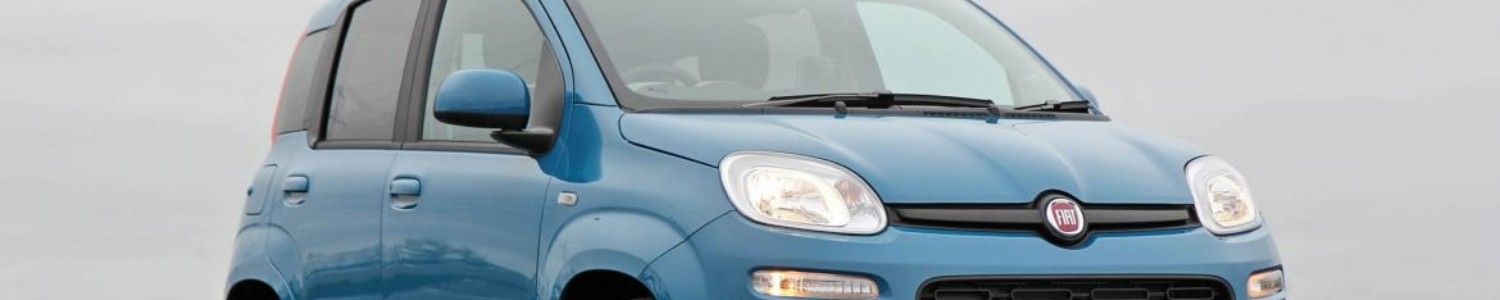 Fiat Panda 100HP