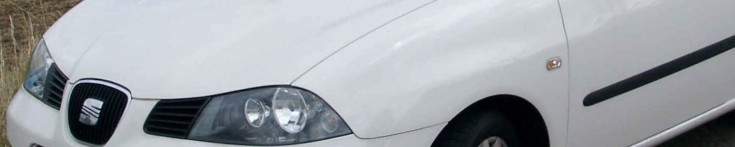 SEAT Ibiza 6L