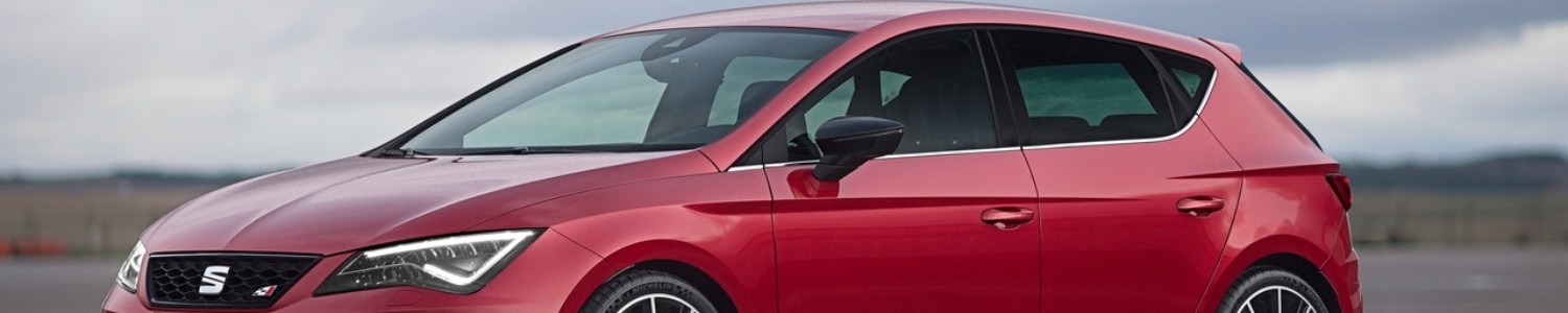 SEAT Leon Cupra 300 5F