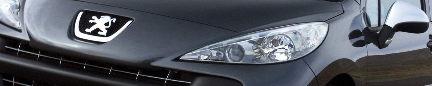 Peugeot 207 RC