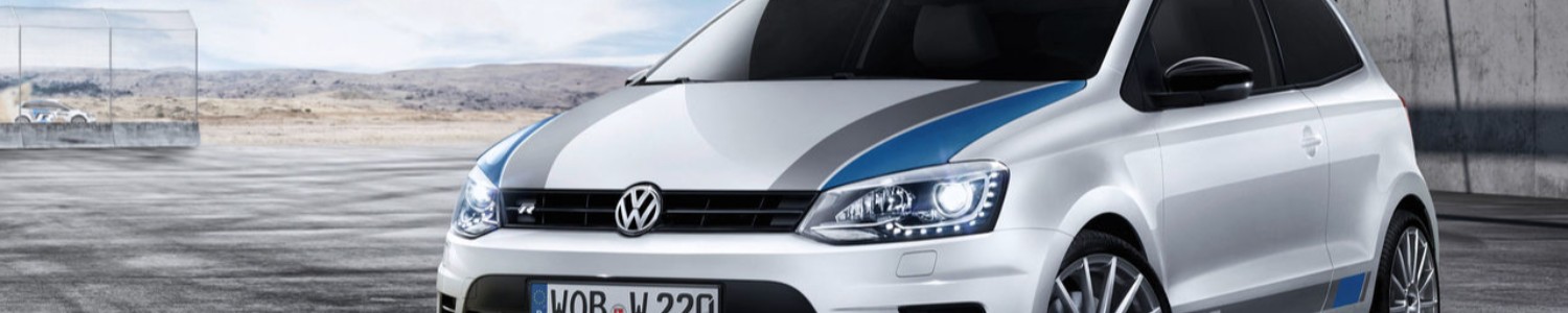 Volkswagen Polo R WRC Mk5