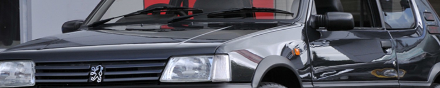 Peugeot 205 GTi 1.9