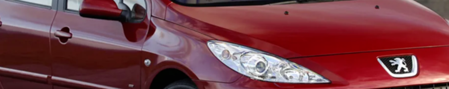 Peugeot 307 XS 2.0i