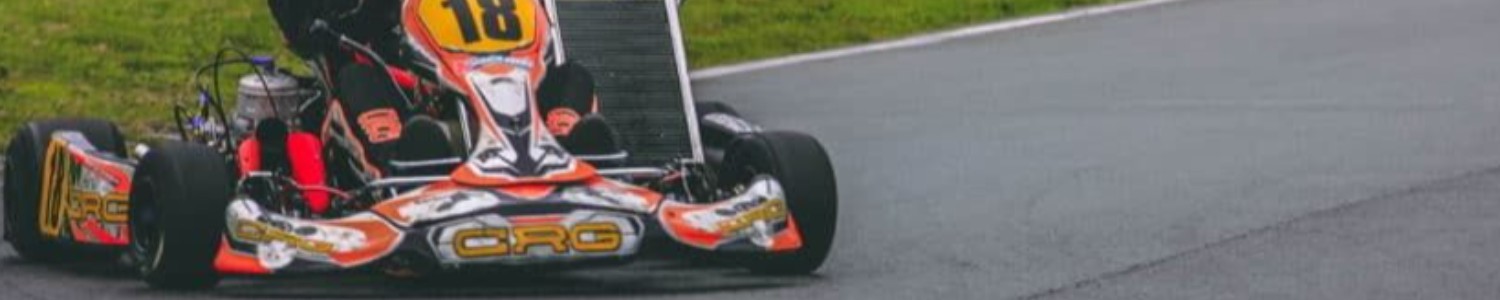 Rotax 125cc