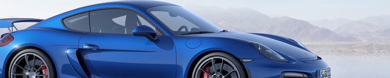 Porsche 981 Cayman GT4