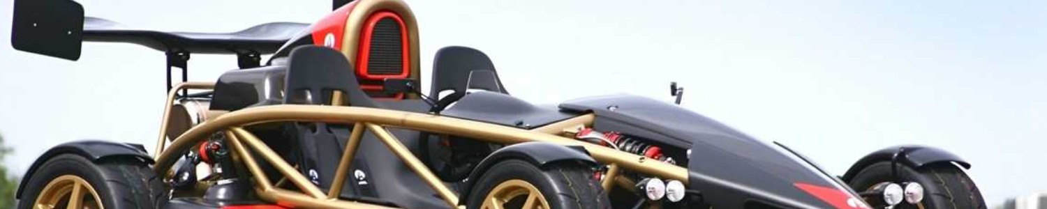 Ariel Atom 500