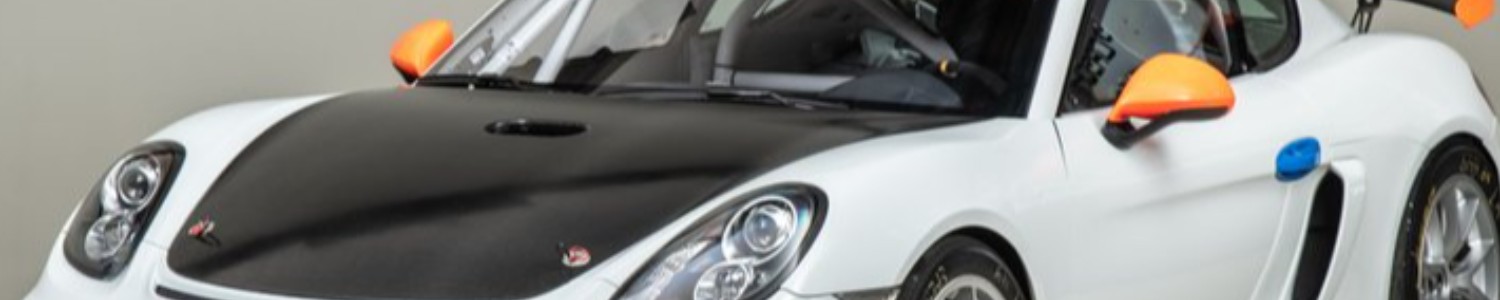 Porsche 981 GT4 Clubsport